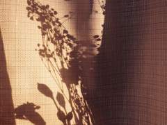 무소식이 희소식이라고...