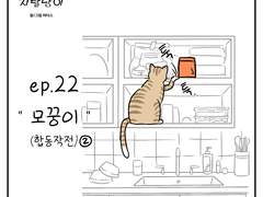 🐱우리집 지랄냥이 : 22화🐱