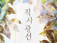 직사광선-안로테