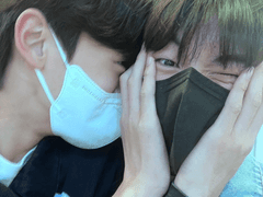 형은 노란장미같아요 [1]