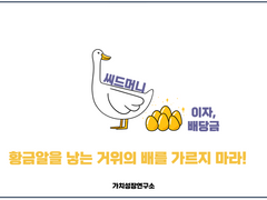 나는 매 월 배당을 받는다 (내가 투자하는 종목 2탄)