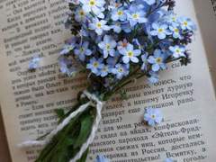 널 사랑하는 이유로