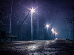 토모나즈 - 바니복의 (上)