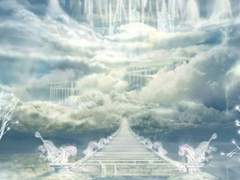 백일몽(白日夢) 0