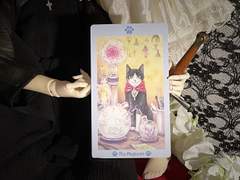 이번 주의 카드: The Magician