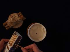 Q. 다가올 나의 한 달 간 흐름과 조언.