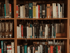 [창작 단편] 고양이를 쓰다듬지 못한다면 냥냥펀치라도 맞아야지