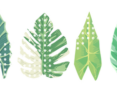 관엽식물 잎 PNG 소재 판매