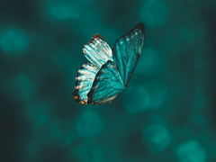 [전력]야, 너 그 소문 들었냐?