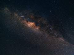 이름 없는 소년의 기록.