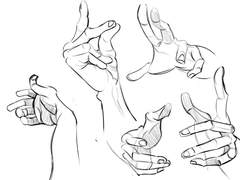 2023년 8월 26일 (토) <해부학>