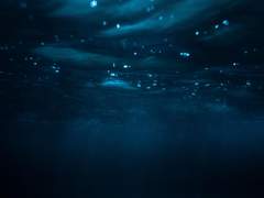 Sea of figure (수의 바다)