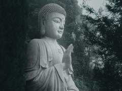 [호열백호] 동경연심 백호찬가 - 1화