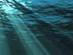 [춘자진숙] 세상