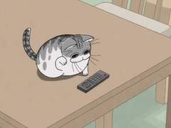 우리 집 바람돌이들🐱 2