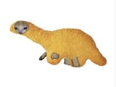 SGKAKR 5집 노멀 카드