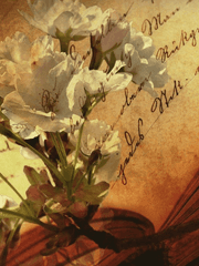 The story of a white book