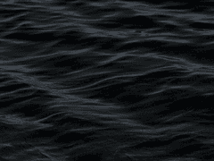 위로의 글을 전하고 싶습니다.