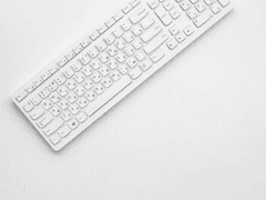 독자가 만들어가는 소설