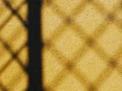 그림자 벗어나기