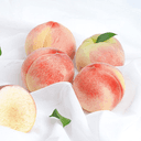 파김치엔 짜파게티