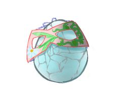 [DB] 드라리테 로그 백업