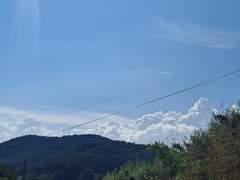 우리나라 대한민국을 위해 노력하시는 모든 분들께 진심으로 고개숙여 감사를 표합니다.