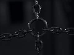 황가의 반려동물