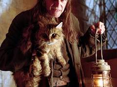 그리핀도르에서 살아남기! 12