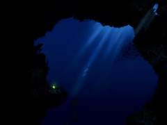 물고기의 마음은