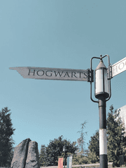 맨드레이크 필 무렵