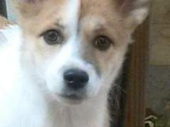 어서 오세요 기분 좋은 롯데리아 talk