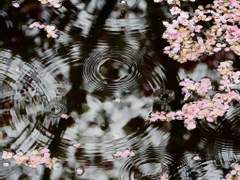 결국에는 지는 사람