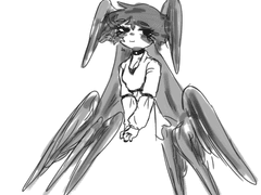 간간히 써둘 특징캐디