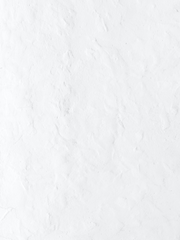 내 연예인의 속사정