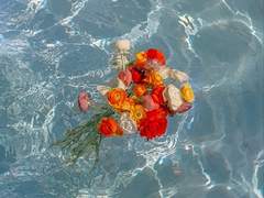 파란, 바다에 물들어 가는 중.