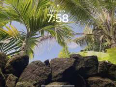 [아이패드 배경화면] in 발리