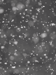 [완결] 여름에 내리는 눈