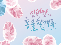 [뉴트티나] 신비한 동물학개론 (完)