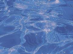 누군가의 아류작