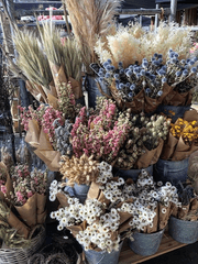 세 달만 영업합니다