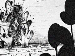 10. 몽상가의 정원