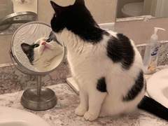 1화 2023년 8월 27일