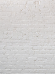 쥐뿔도 안중요한