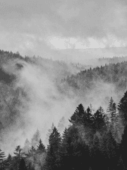 수인을 보호하라