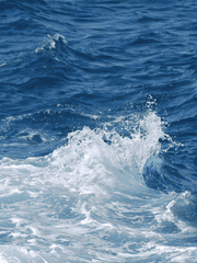 [고죠후시] MERMAIDPRINCELOVE