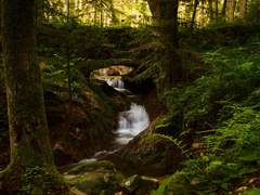 피안의 경계선(彼岸の境界線)