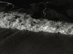 공주님 모시기 작전! 04