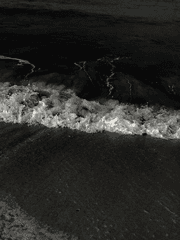 공주님 모시기 작전!