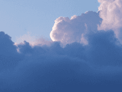 눅눅한 여름조각